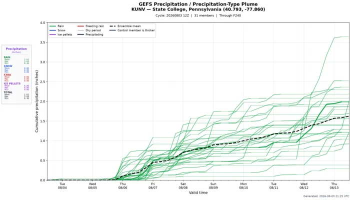 Ensemble plume forecast example